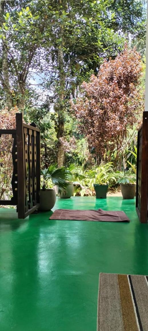 Ella Shali'S Home Luaran gambar