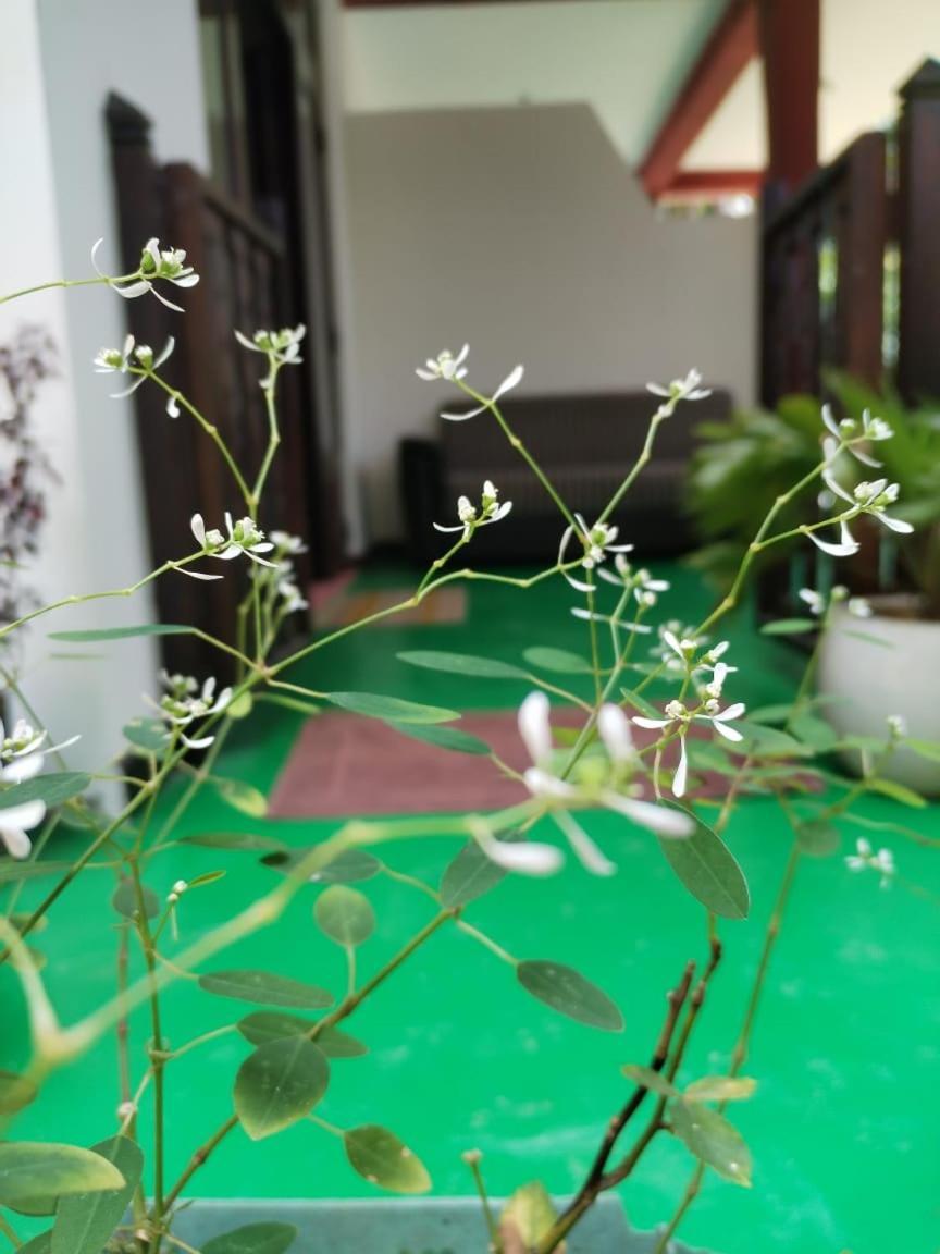 Ella Shali'S Home Luaran gambar
