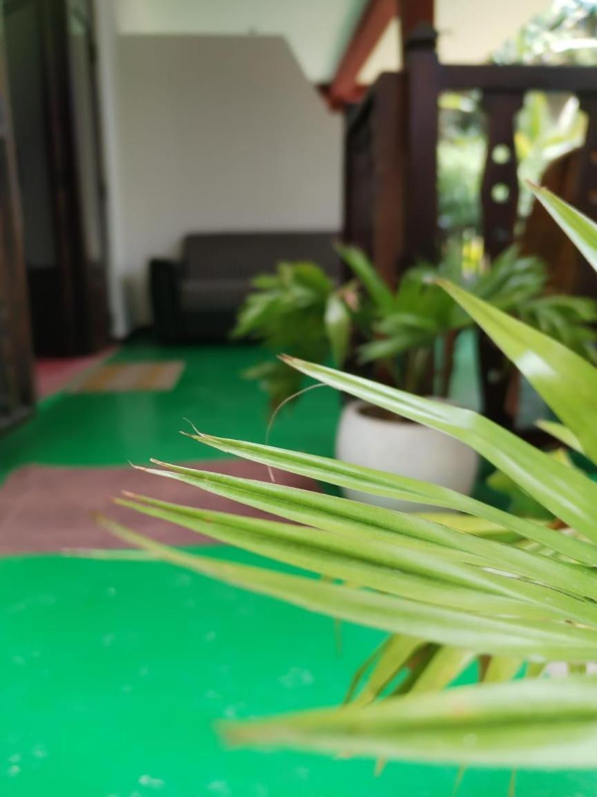Ella Shali'S Home Luaran gambar
