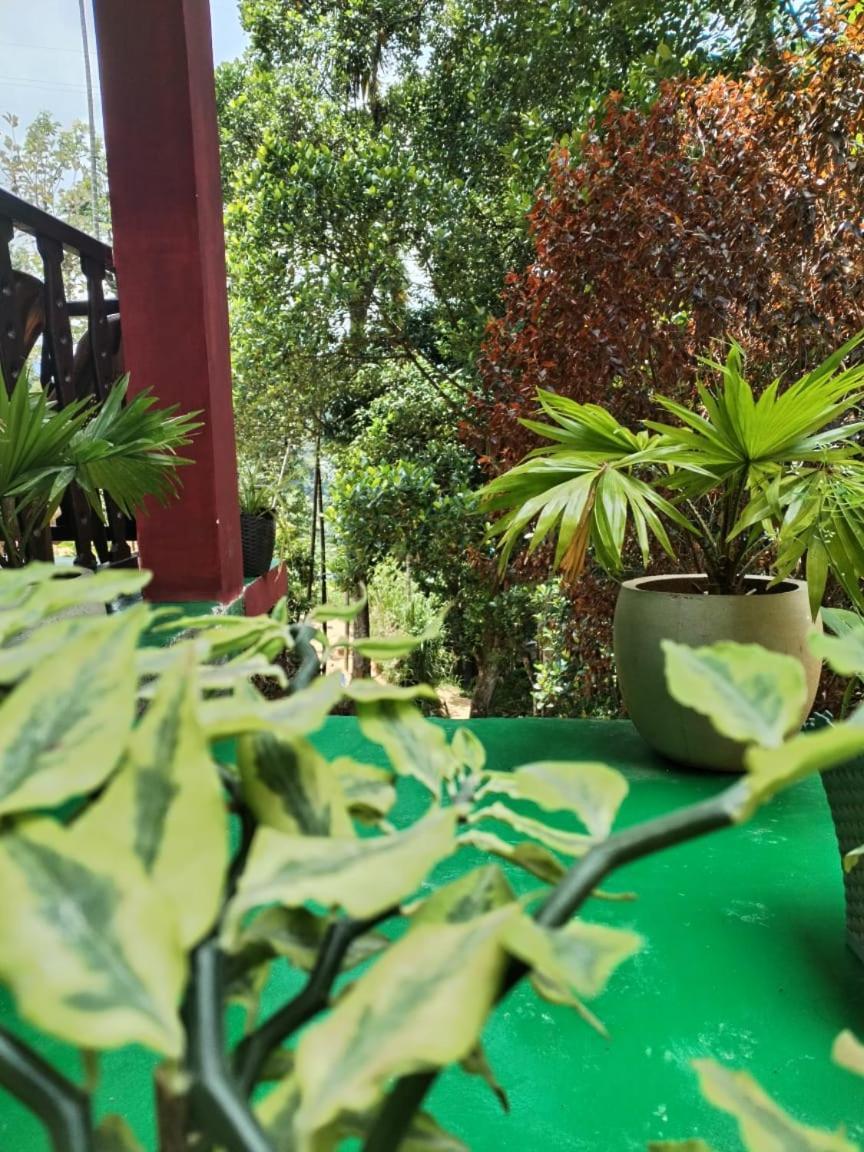 Ella Shali'S Home Luaran gambar